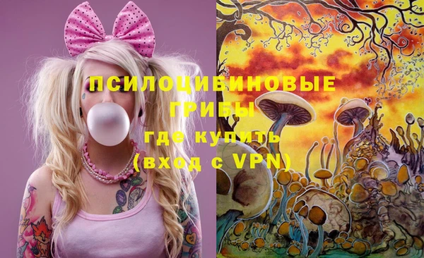 соль ск Алексеевка
